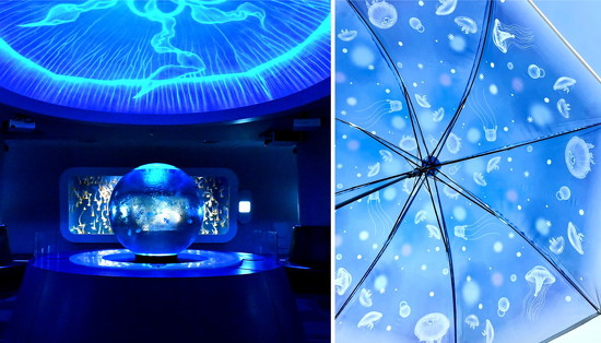 メイン画像おやすみクラゲ