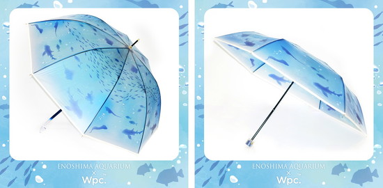 おやすみクラゲ2種画像