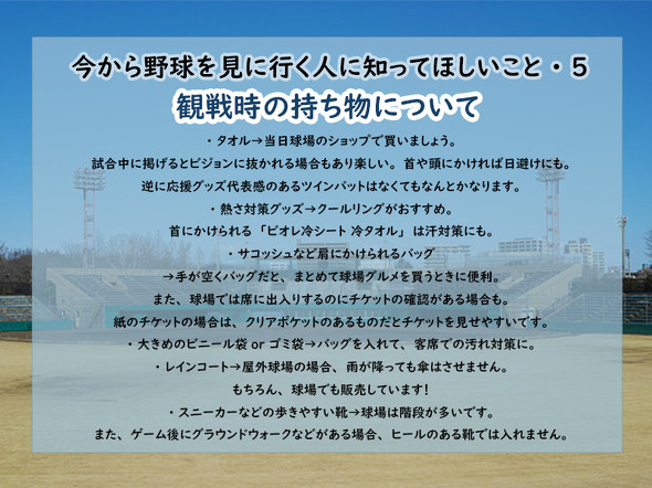 野球初観戦のポイント5