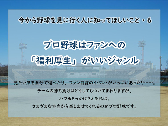 野球初観戦のポイント6
