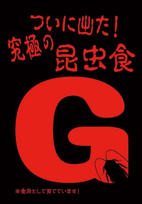 ドン・キホーテ昆虫食「G」「UG」