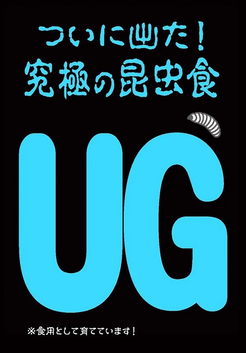 ドン・キホーテ昆虫食「G」「UG」