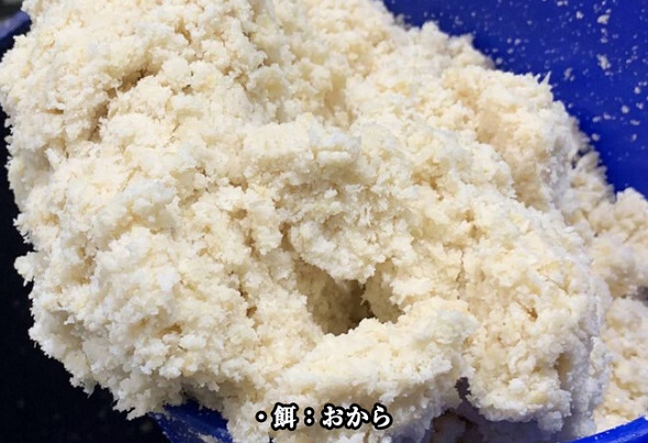 ドン・キホーテ昆虫食「G」「UG」