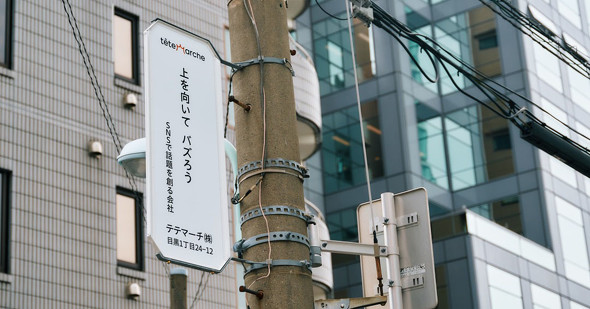  テテマーチ　広告