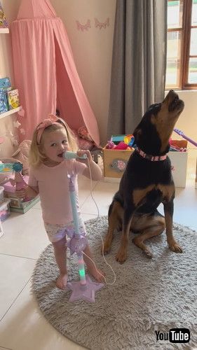 「Rottweiler and Toddler Sing Their Favorite Songs Together || ViralHog」