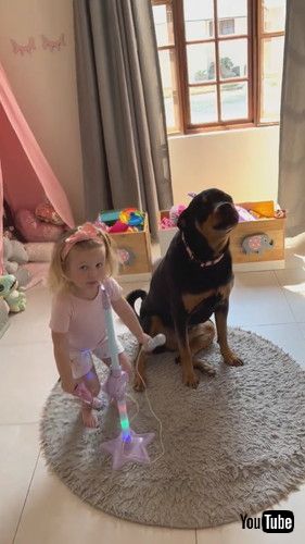 「Rottweiler and Toddler Sing Their Favorite Songs Together || ViralHog」