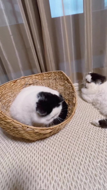 なにしてるの？