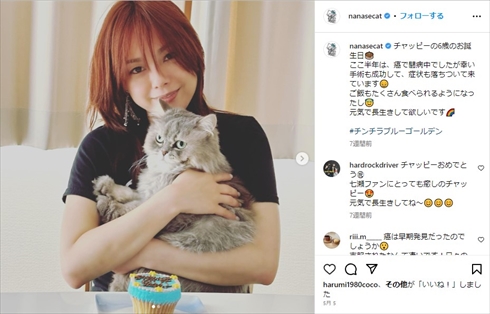 がんで亡くなった相川七瀬の愛猫・チャッピー