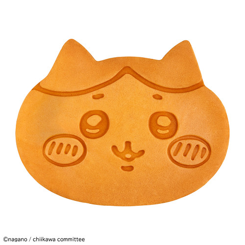 普段のハチワレ