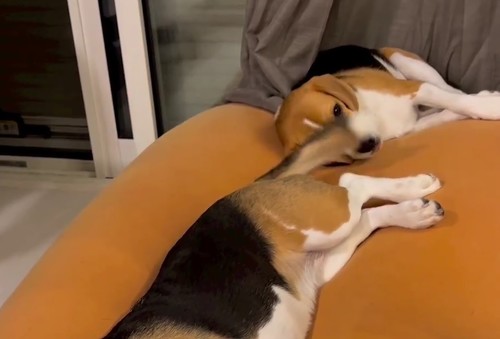 顔にバシバシ
