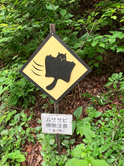 ムササビ 横断注意 動物 標識 看板 初めて見る 軽井沢
