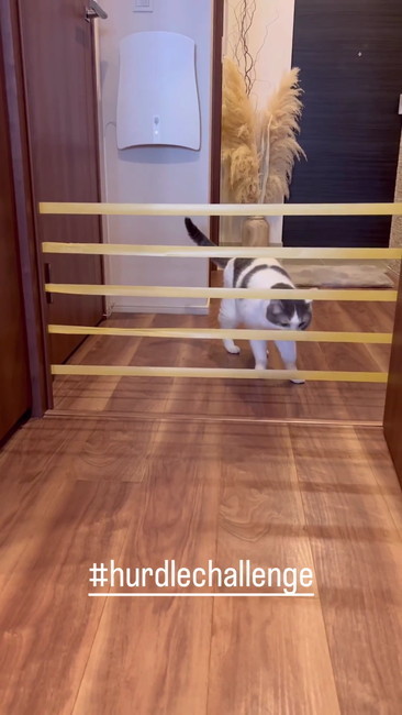 再チャレンジ？