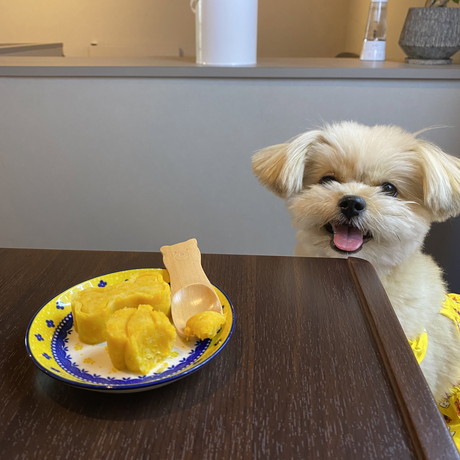 ニコニコのワンコ