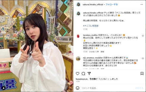桜井日奈子