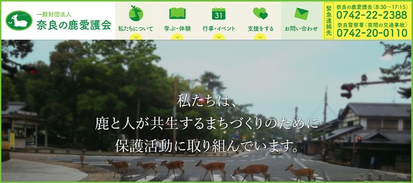  奈良公園　シカ　奈良の鹿愛護会