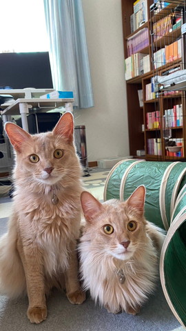 お座りする子としゃがむ子