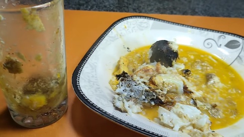 1000度の鉄球に勝つ黄身