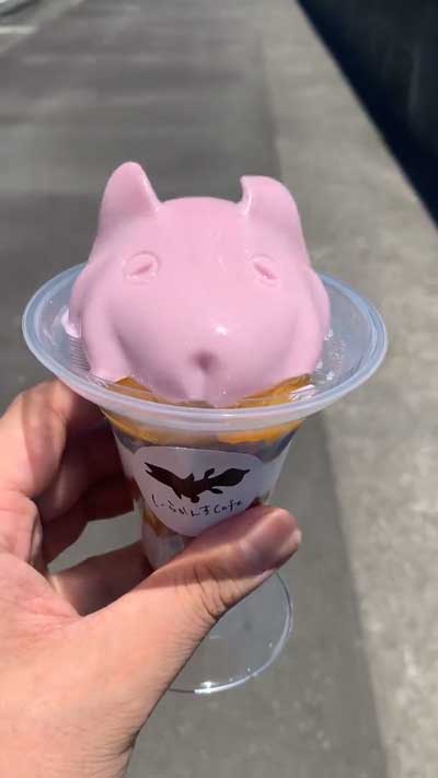 沼津深海水族館 メンダコプリンがぷるぷるでかわいい