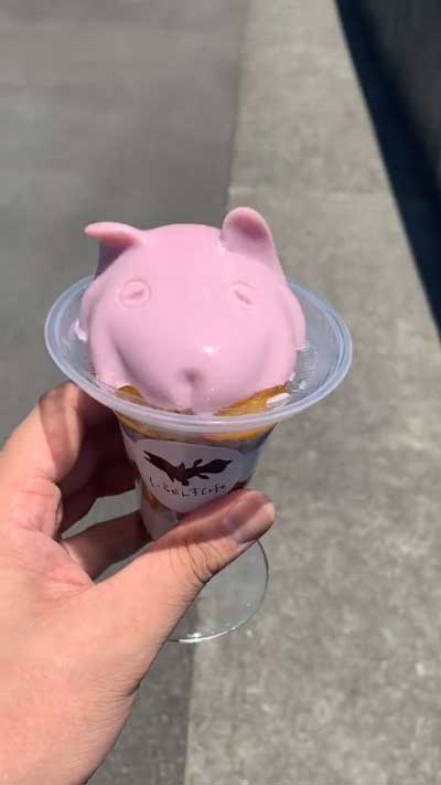 沼津深海水族館 メンダコプリンがぷるぷるでかわいい