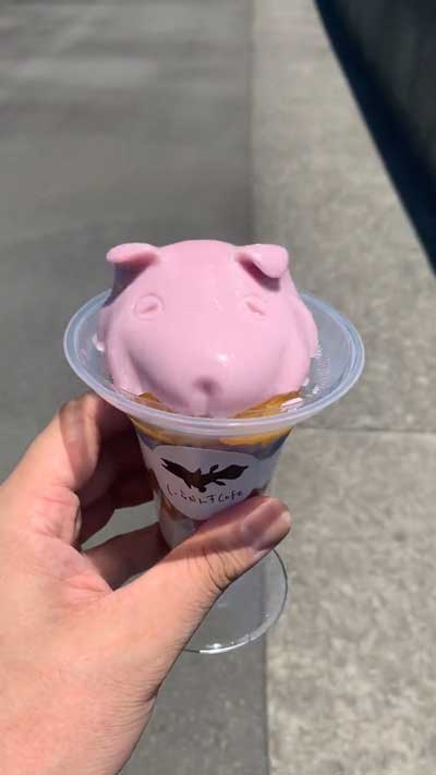 沼津深海水族館 メンダコプリンがぷるぷるでかわいい