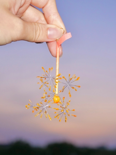 エモな夏の新作