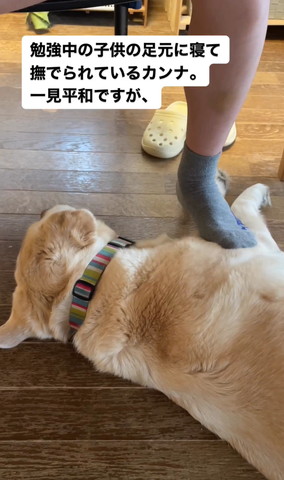 ワンコの前足近くを足でなでる子ども