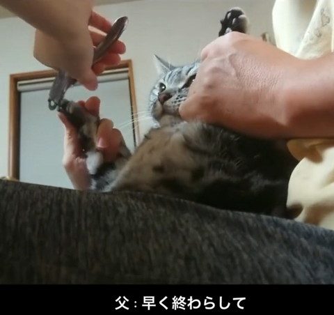 早く終わらせてテロップ