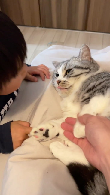 かわいいねと話しかける