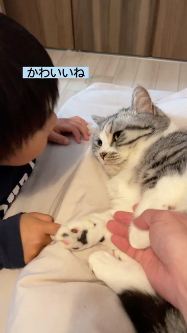 ふにかわいいね