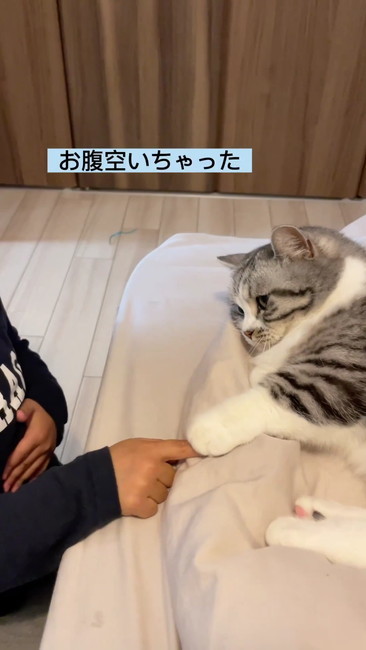 お腹すいちゃった