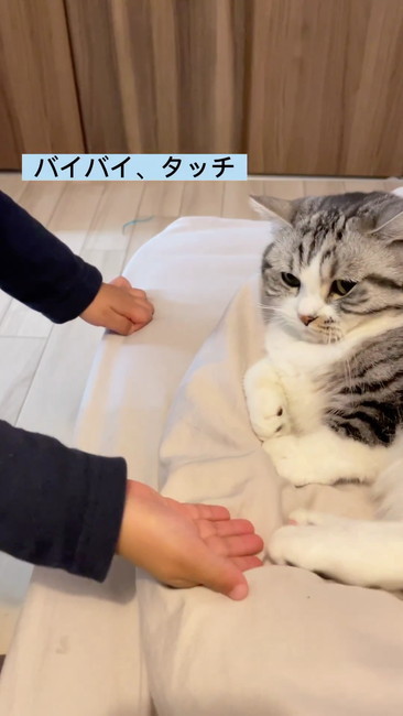 バイバイタッチは？