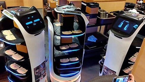 完全に詰んで困ってるネコ型配膳ロボット