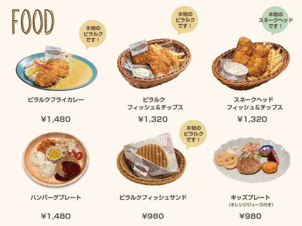 ピラルクフライ