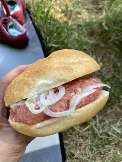 生の豚