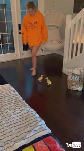 女性を追うアヒルの赤ちゃんたち