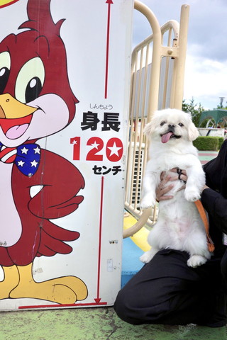 身長看板とワンコ