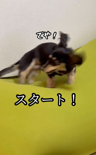 世界レベルのポジショニング