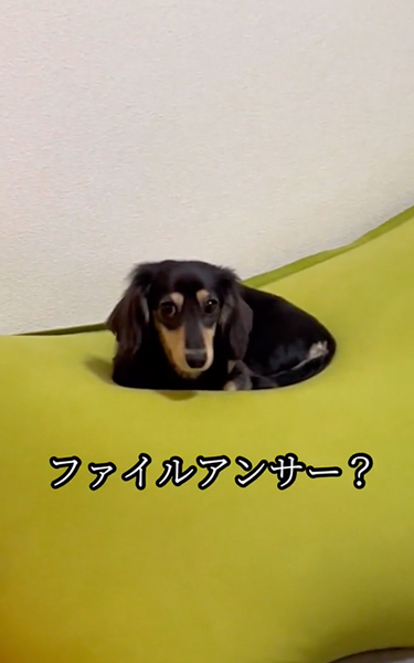 世界レベルのポジショニング