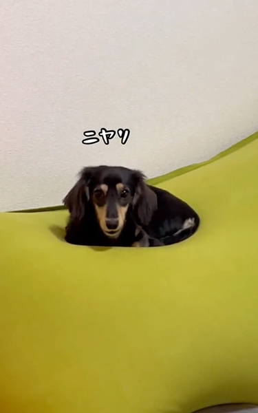 世界レベルのポジショニング