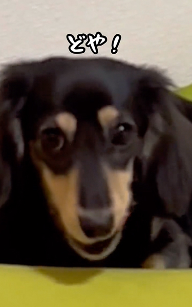 世界レベルのポジショニング