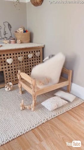 シーツを剥がすウサギ