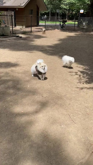 陰キャっぷりを見せるちくわくん