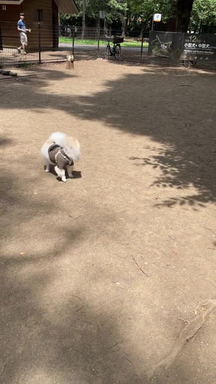 最後までスルーし続けたちくわくん