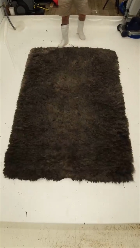 カーペット　洗浄　クリーニング　Mountain Rug Cleaning