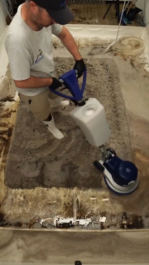 カーペット　洗浄　クリーニング　Mountain Rug Cleaning