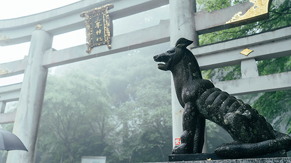 憧れのオオカミの護符を埼玉県の三峯神社にもらいに行く | ねとらぼ