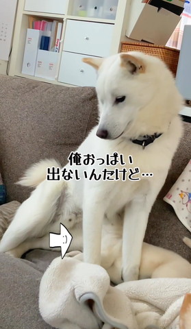 俺おっぱい出ないテロップ