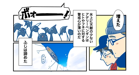 南極 ペンギン