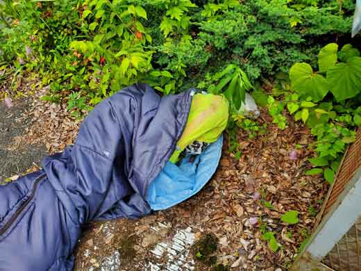 マネキン す巻き 通報 人形 不法投棄 怖い