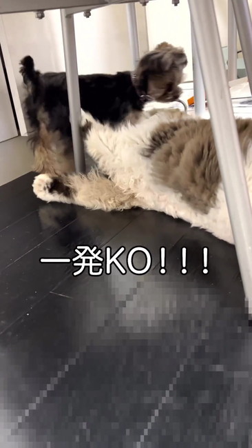 去って行くハンナ